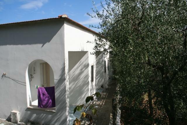 Casa Vacanze Pizzone Daire Peschici Dış mekan fotoğraf